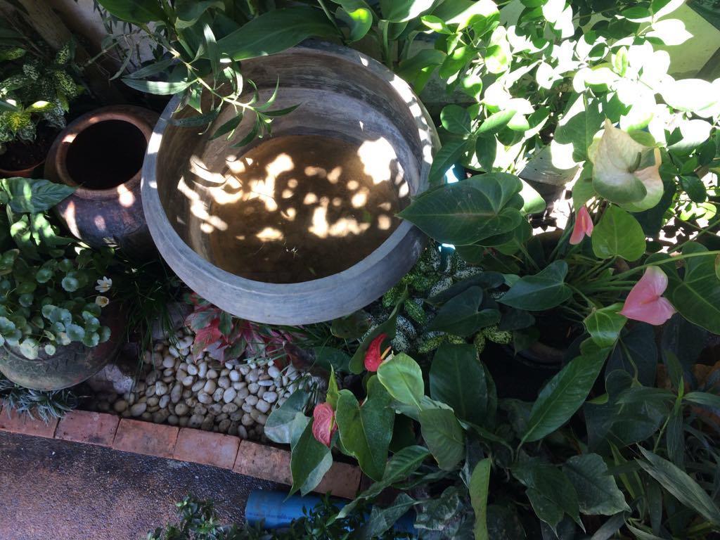 Sister House Chiangmai (Adults Only) Bed & Breakfast Chiang Mai Bagian luar foto